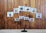 Photo Holders - 10 Clasp Oval
